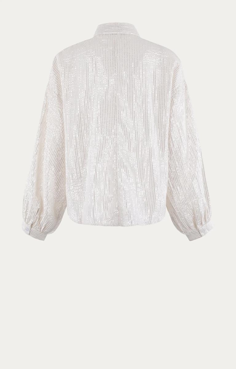 Anna Blouse 28a05-03709 Zilver 4