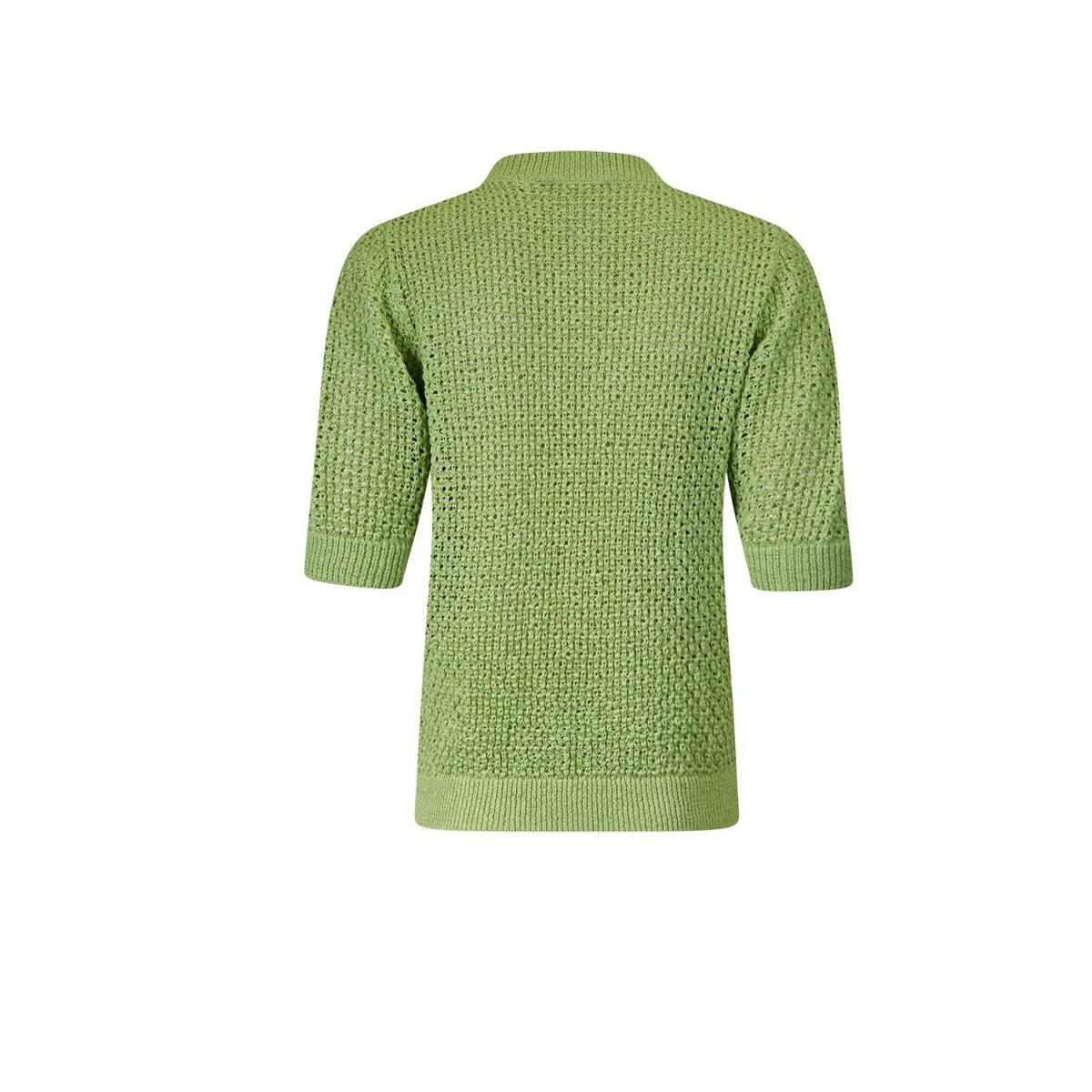 Roberto Sarto Trui 611191 Groen 3