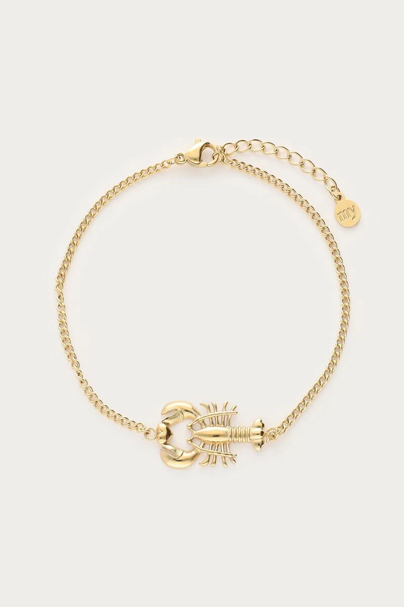 My Jewellery Armband MJ13042 Goud 1