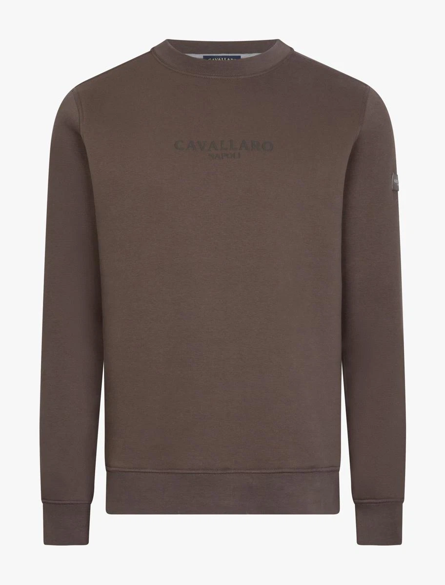 Cavallaro Sweater 120265001 Taupe 1