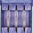 Fascent Refill L’Eau D’Ort 3x20ML Geen Kleur 2