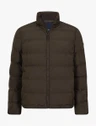 Cavallaro Jas 112265004 Bruin 1