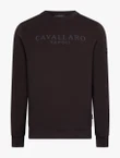 Cavallaro Sweater 120265007 Bruin 1