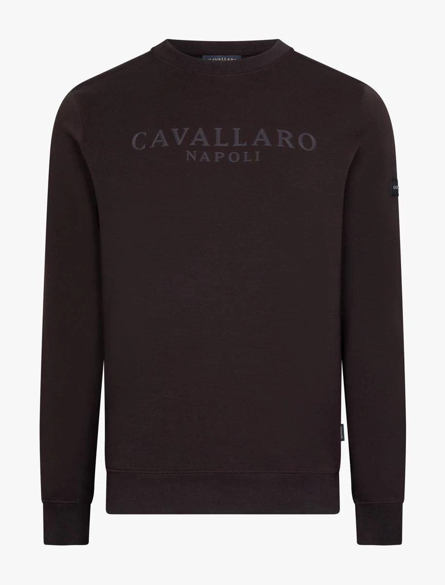 Cavallaro Sweater 120265007 Bruin 1