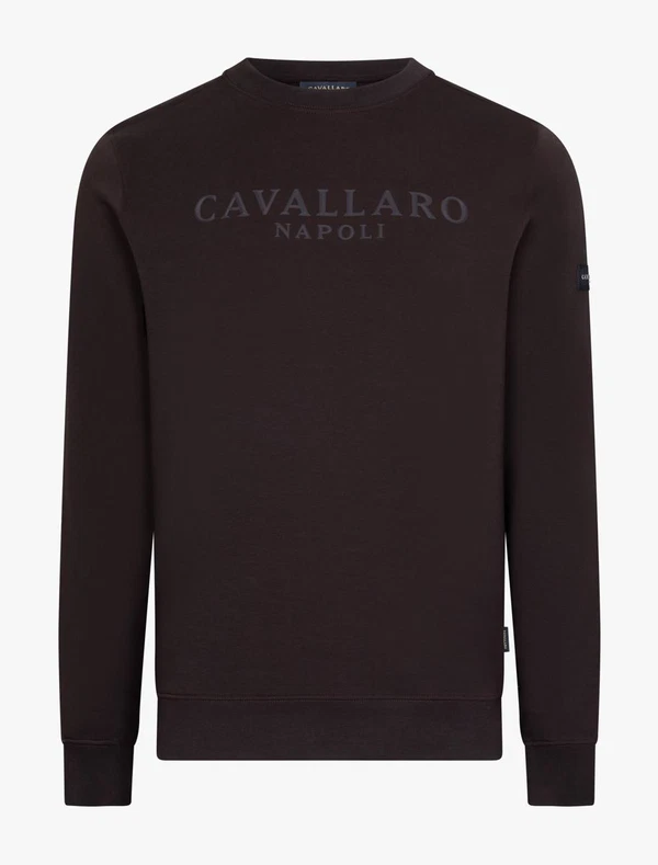 Cavallaro Sweater 120265007 Bruin 1