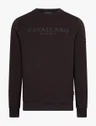 Cavallaro Sweater 120265007 Bruin 1