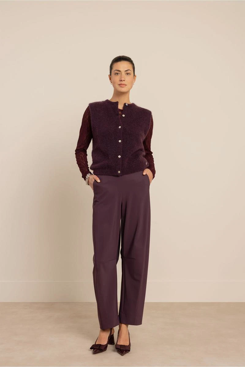 Studio Anneloes Longsleeve Reagan lace col t Paars 3
