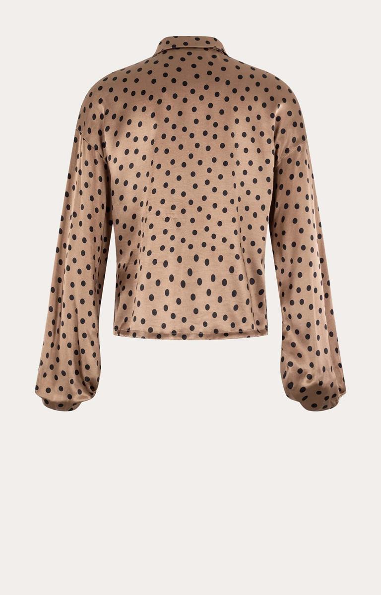 Anna Blouse 43a05-03650 Bruin 4
