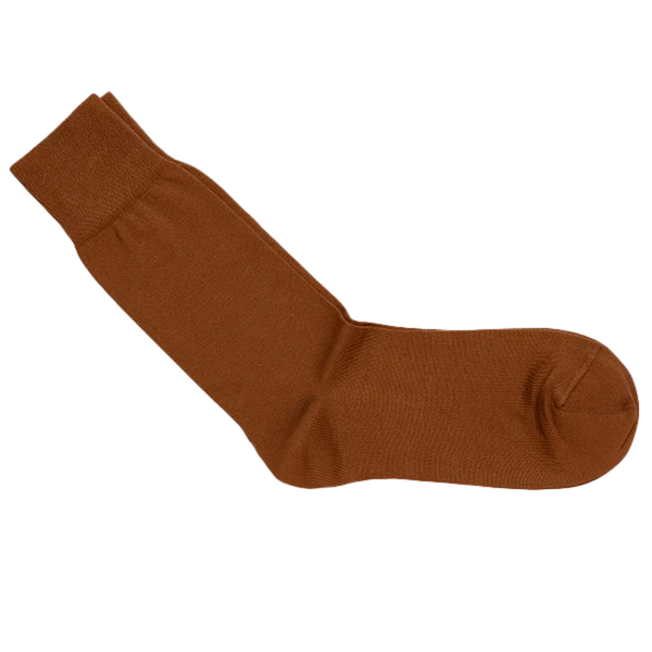 Carlo Lanza Sokken 100 Classico Bruin 1