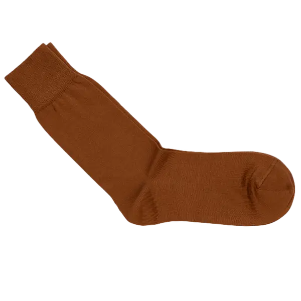 Carlo Lanza Sokken 100 Classico Bruin 1