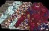 Roberto Sarto T-Shirt 631169 Bruin 2