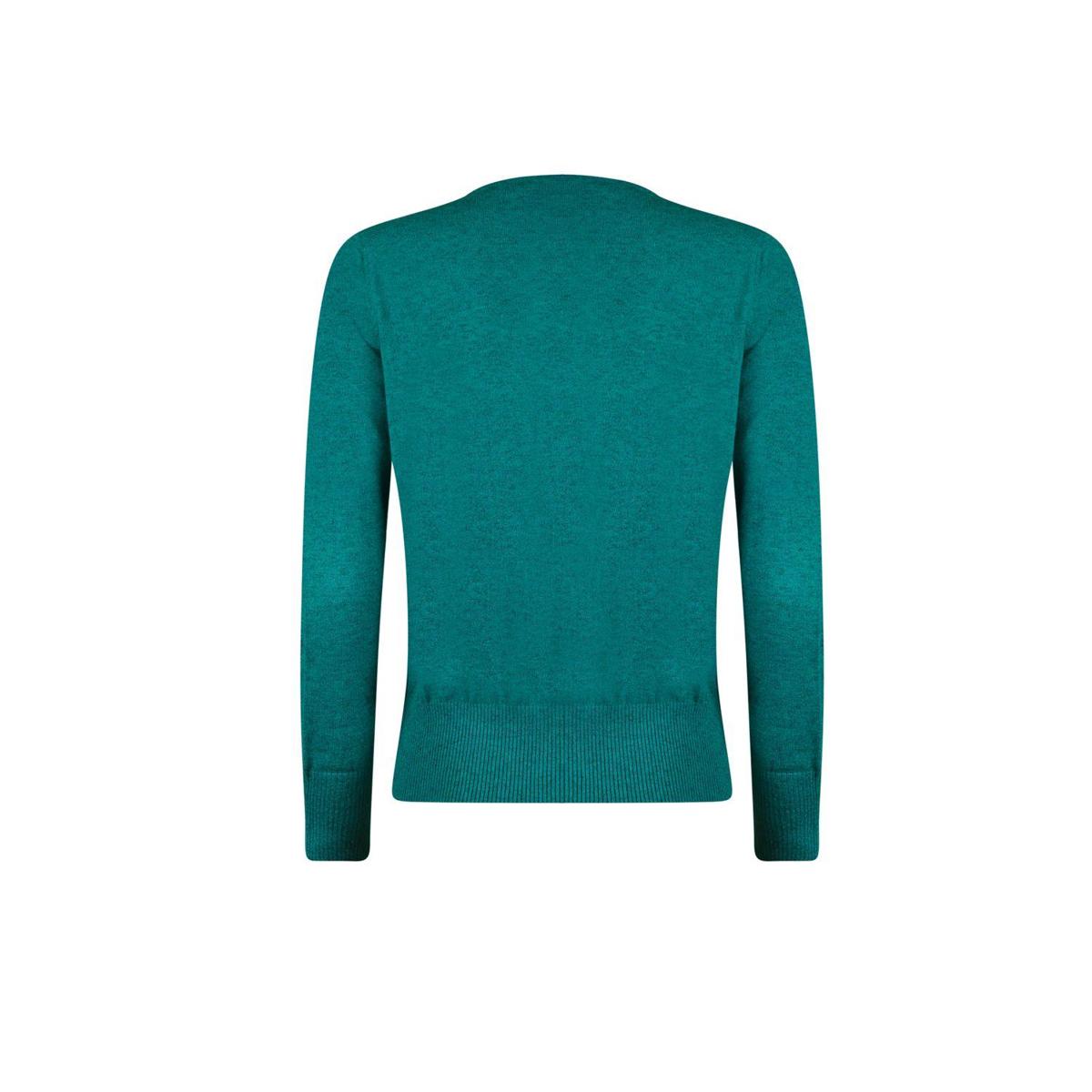 Roberto Sarto Vest 531253 Groen 3