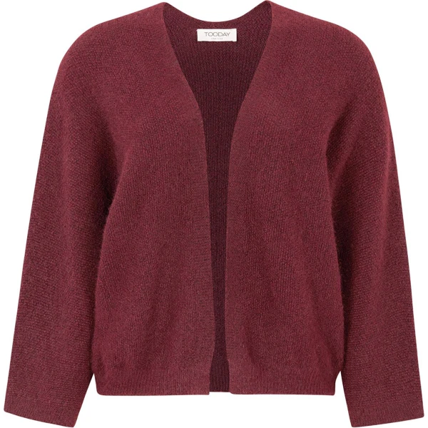 Tooday Vest Bea Rood 1