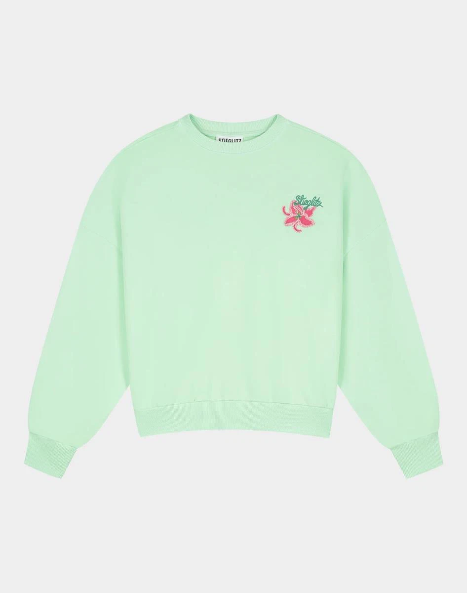 Stieglitz Sweater Novia Groen 2