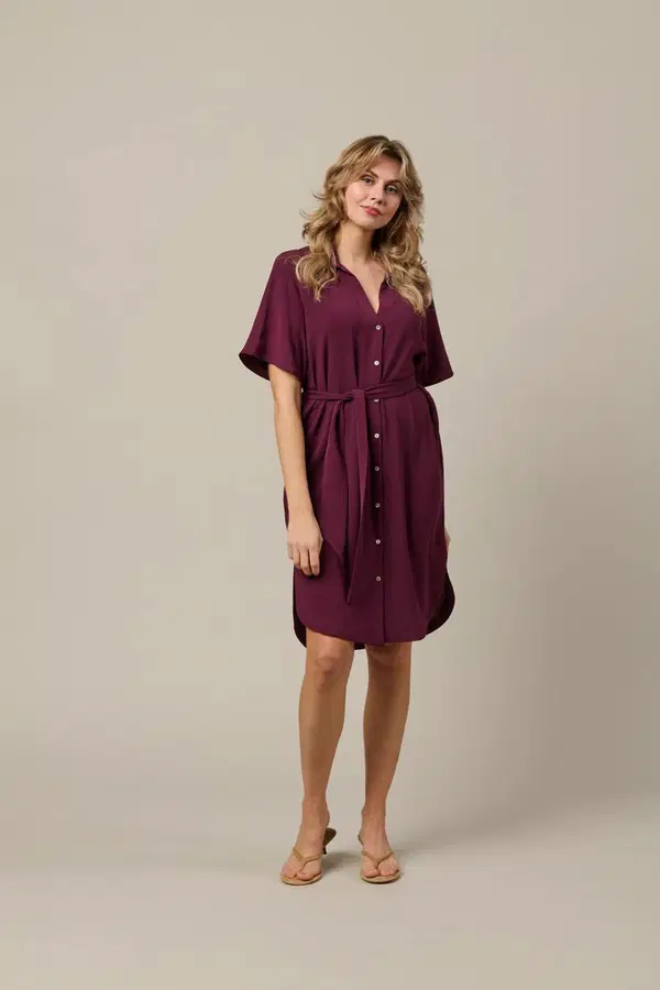 &Co Woman Jurk Margo Paars 1