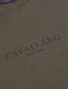 Cavallaro Sweater 120265001 Taupe 6