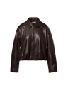 Beaumont Blazer BC60710263 Bruin 1