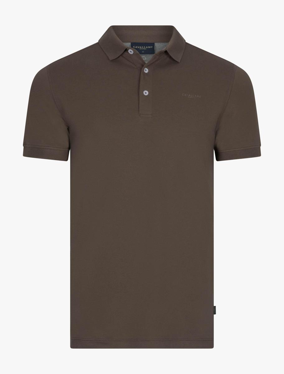 Polo Bavegio