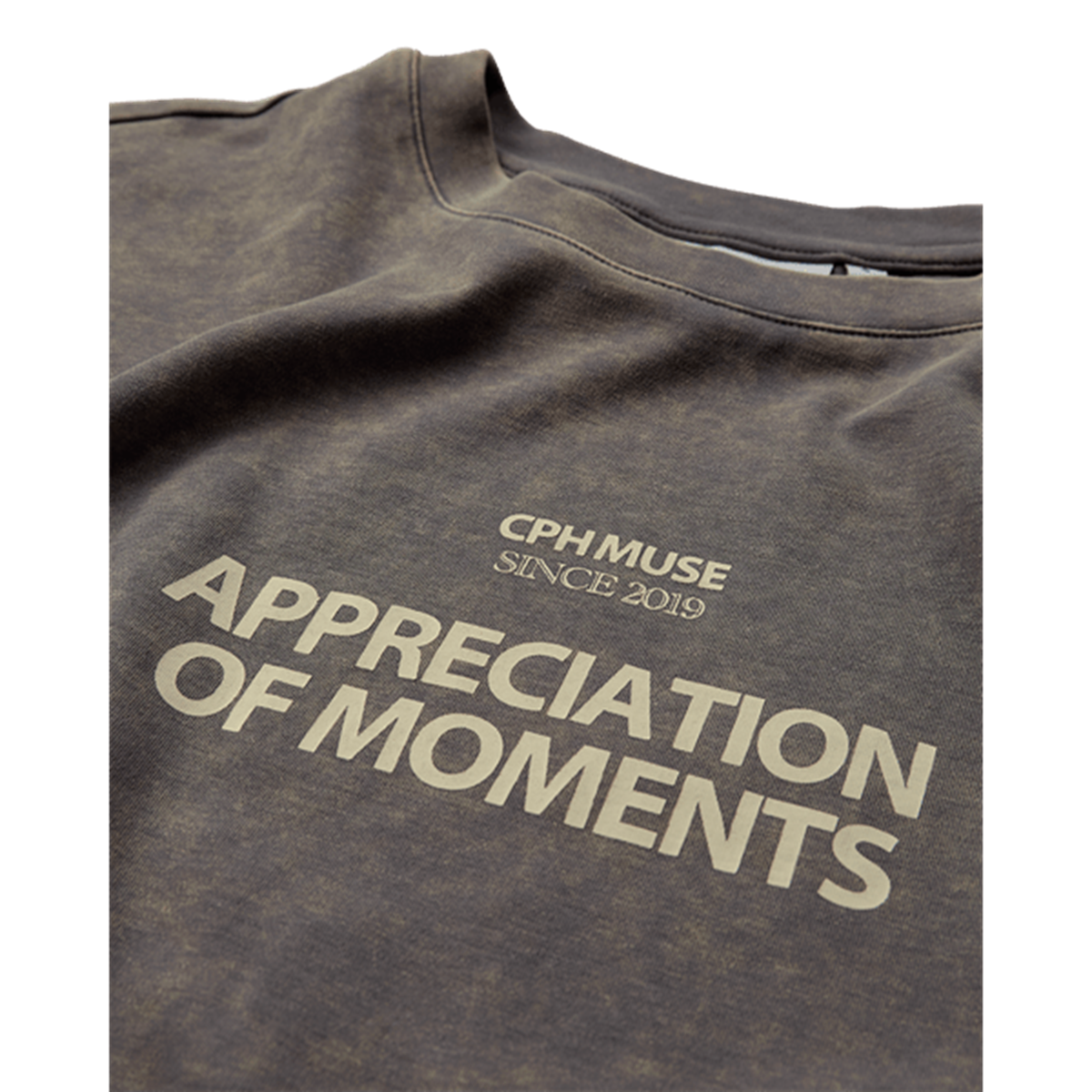 Copenhagen Muse T-Shirt Muse Grijs 3