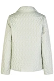 Barbara Lebek Jas 50560062 Groen 2