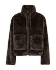 Freequent Jack Fony Bruin 1