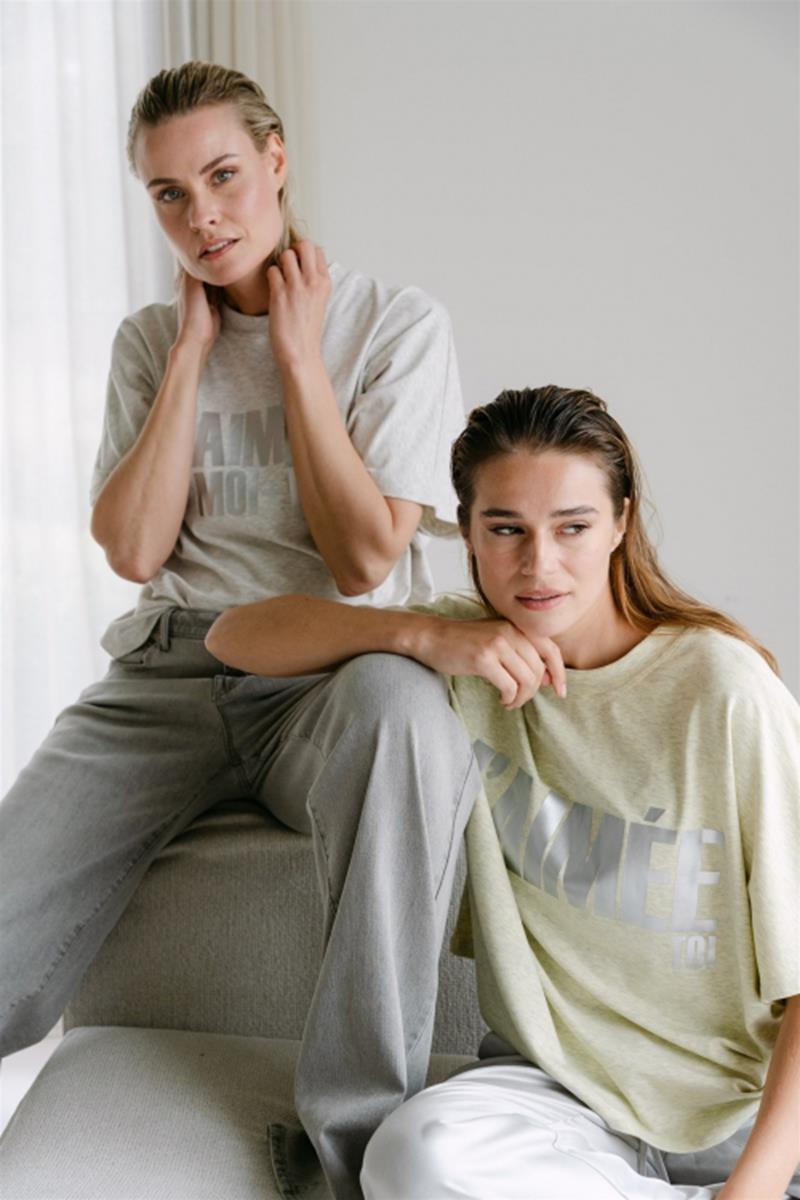 Aimée the Label T-Shirt Willeke Grijs 2