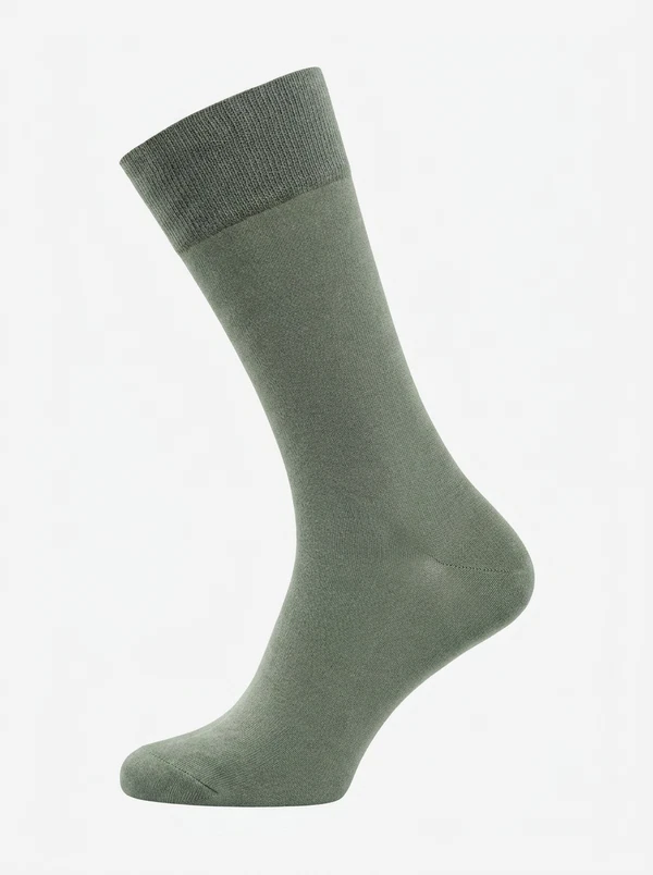 Carlo Lanza Sokken 100 Classico Groen 1