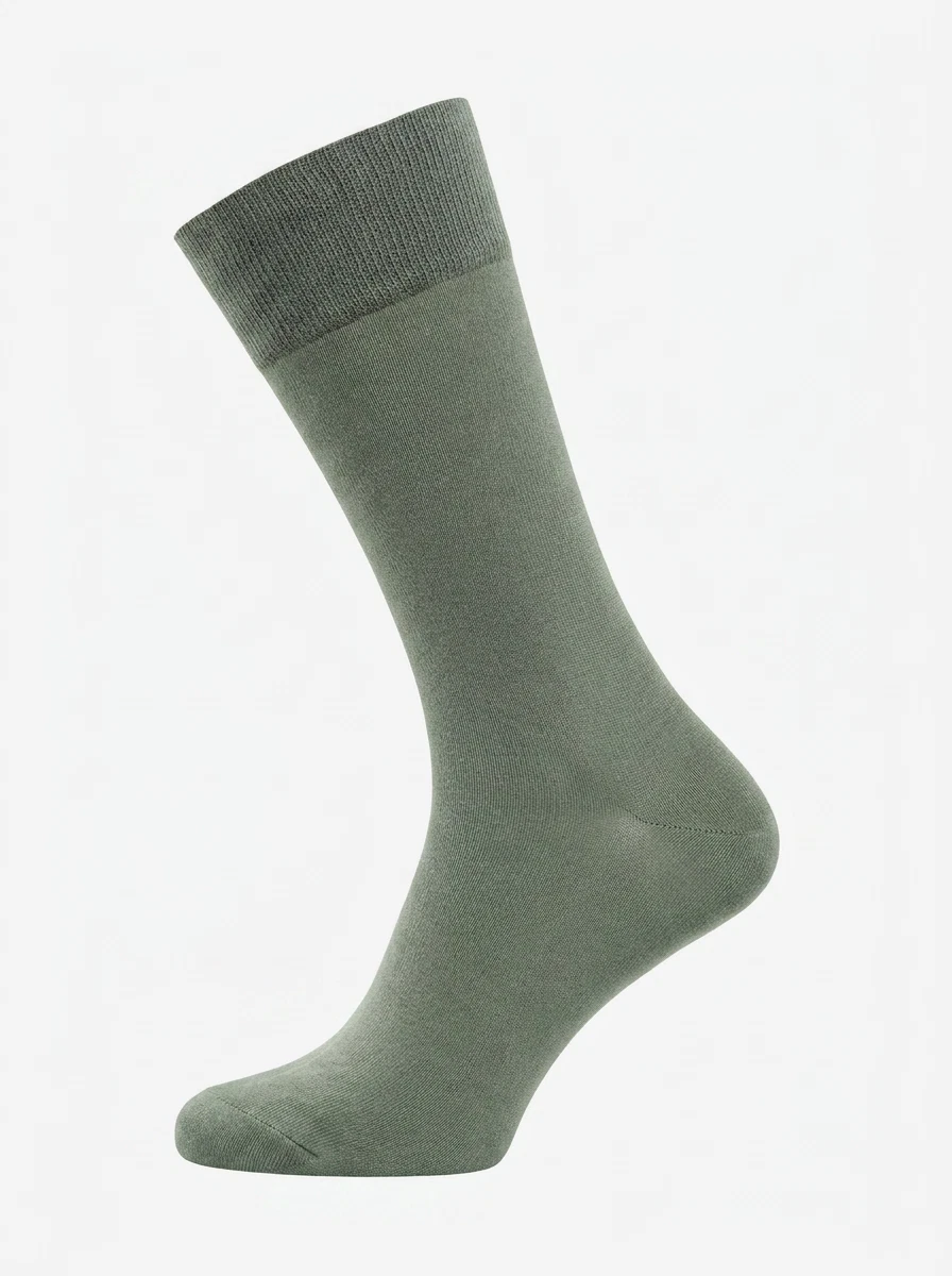 Carlo Lanza Sokken 100 Classico Groen 1