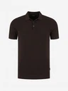 Saint Steve Polo Ezra Bruin 1