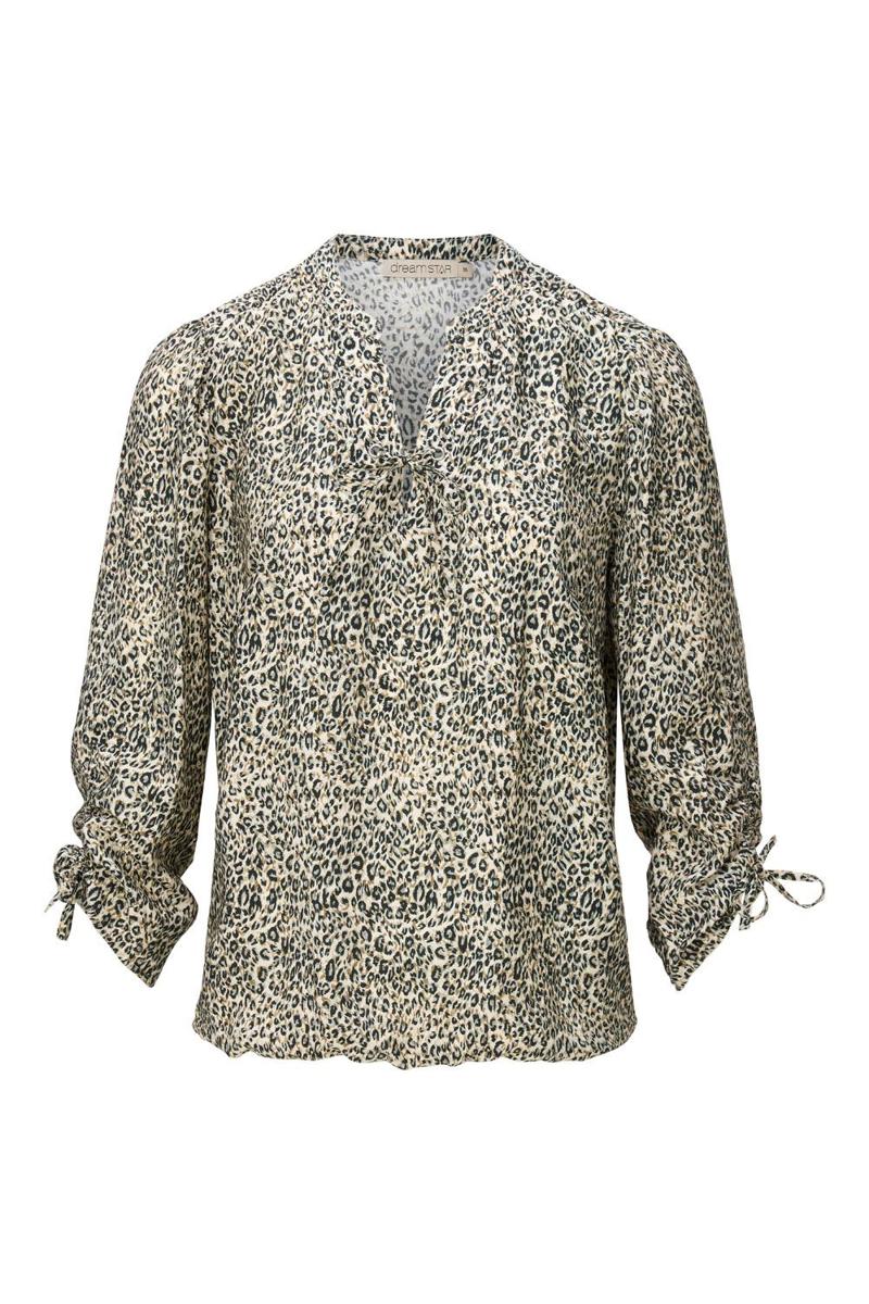 Dreamstar Blouse W25 115 Skyler Bruin 1