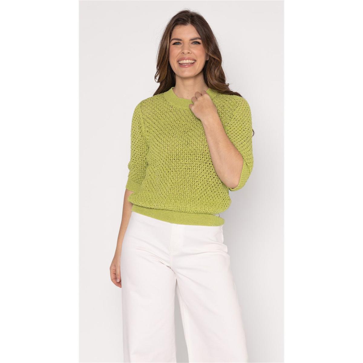 Roberto Sarto Trui 611191 Groen 5