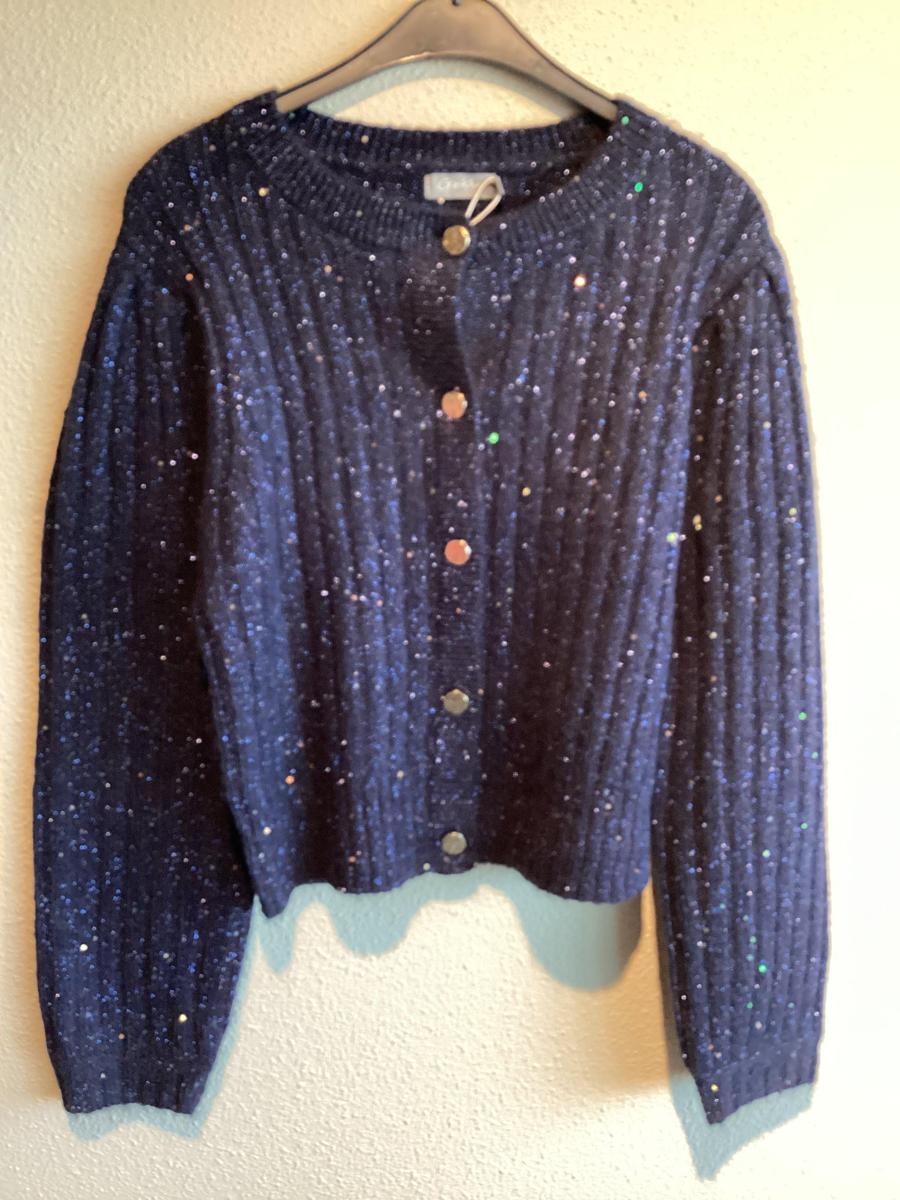 Geisha Vest 54853-14 Blauw 2