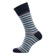 Carlo Lanza Sokken 103 Strisce d'Art Blauw 1