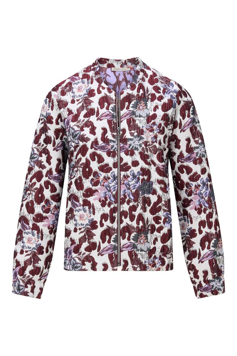 Dreamstar Jack Andrea Rood 1