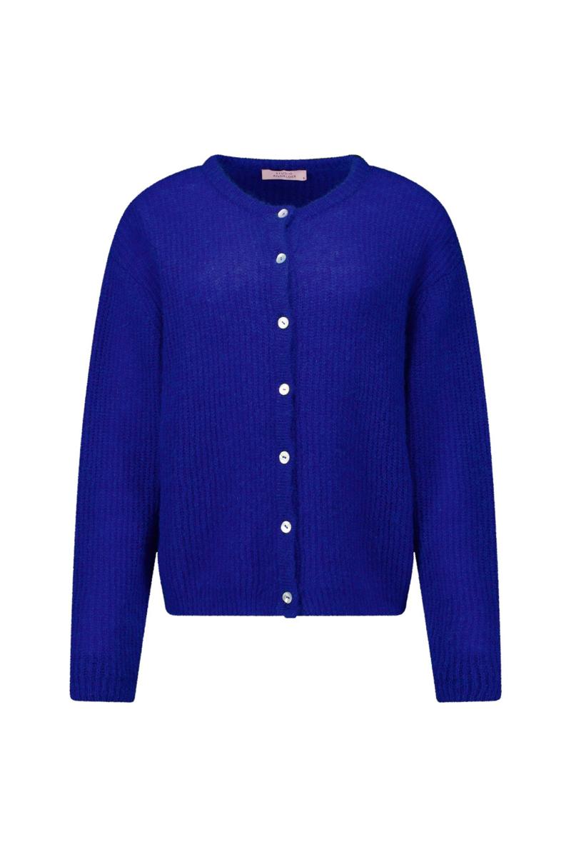Studio Anneloes Vest Bibi spring cardi Blauw 1