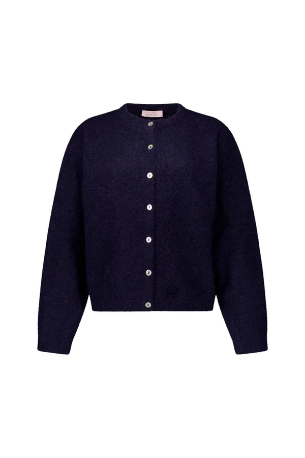 Studio Anneloes Vest Bibi cardigan Blauw 1