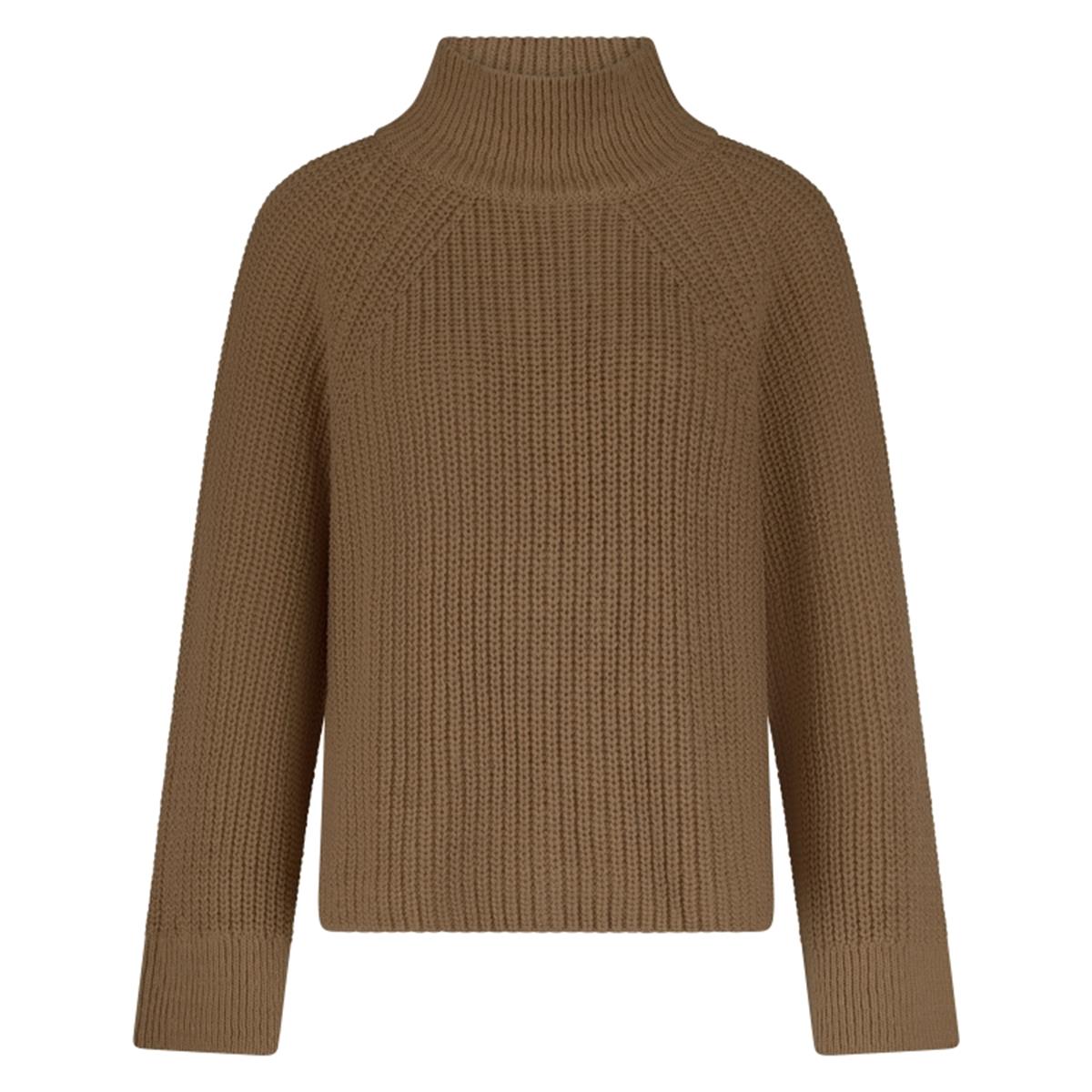 In Shape Trui Gladys Bruin 1