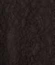EsQualo T-Shirt F26.05503 Bruin 4