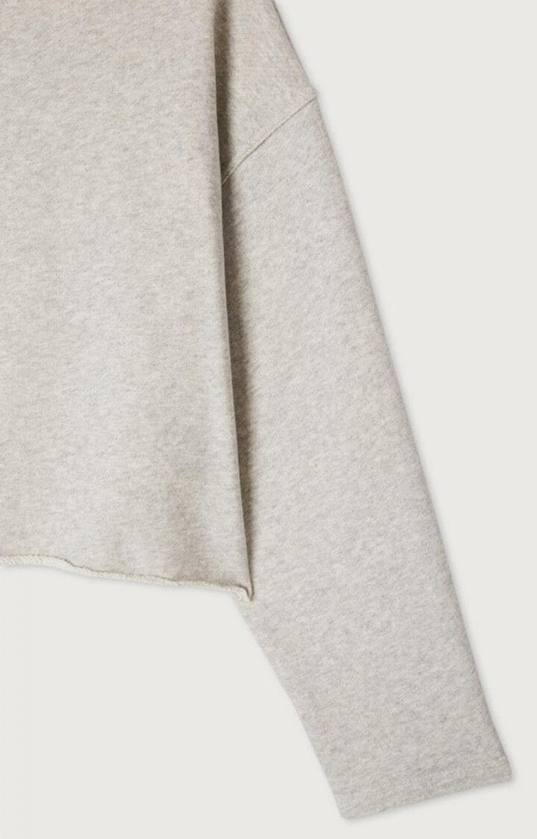 American Vintage Sweater Kodytown Grijs 4