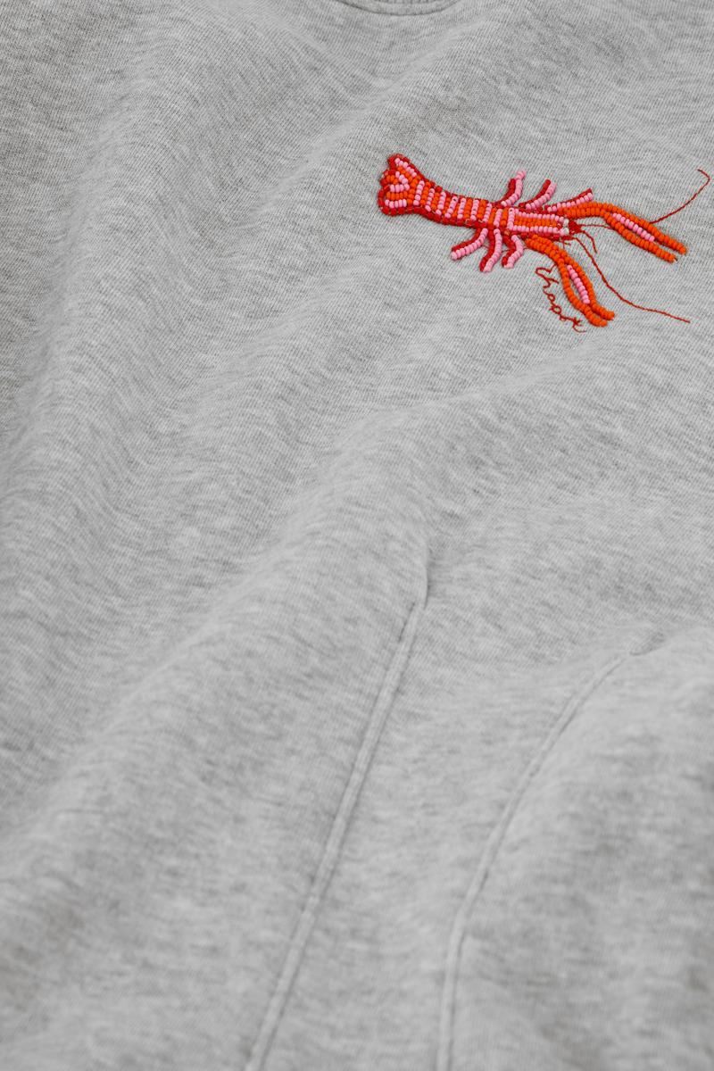 Fabienne Chapot Sweater Dhelia Grijs 4