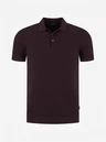 Saint Steve Polo Ezra Rood 1
