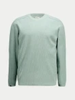 CHASIN Trui Oscar Groen 2