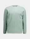 CHASIN Trui Oscar Groen 2