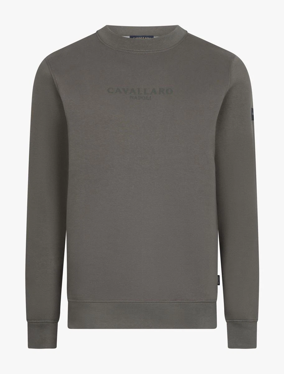 Cavallaro Sweater 120265001 Groen 1