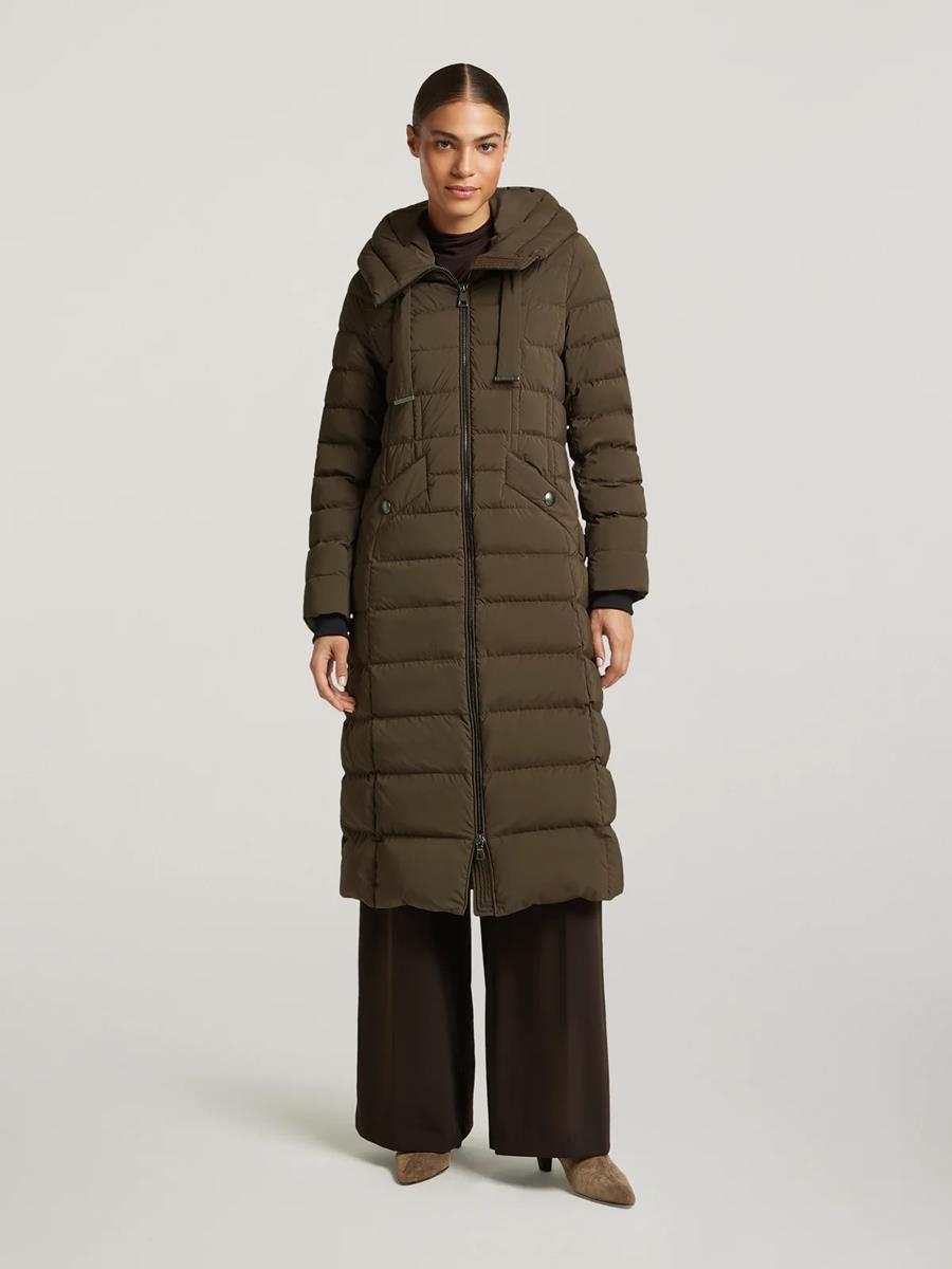 Creenstone Jas Lorraine Bruin 1