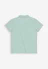 Butcher of Blue Polo M2613030 Groen 2